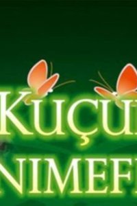 Маленькая госпожа