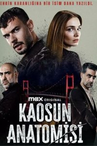 Анатомия хаоса